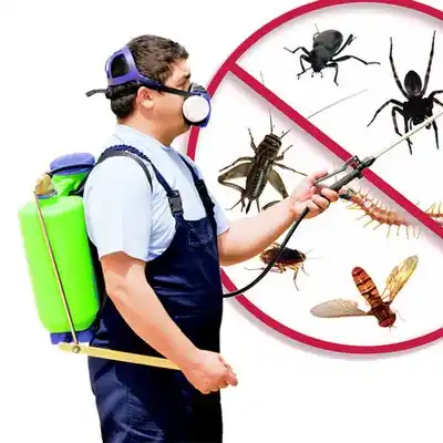 pest control Claverack-Red Mills